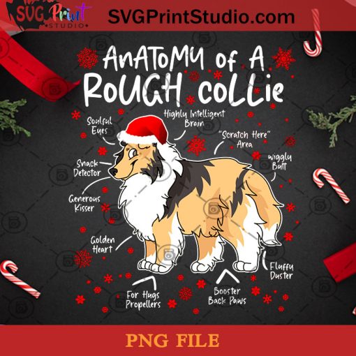 Anatomy Of Rough Collie PNG, Christmas PNG, Noel PNG, Merry Christmas PNG, Rough Collie PNG, Snowflake PNG, Dog PNG, Santa Claus PNG Digital Download