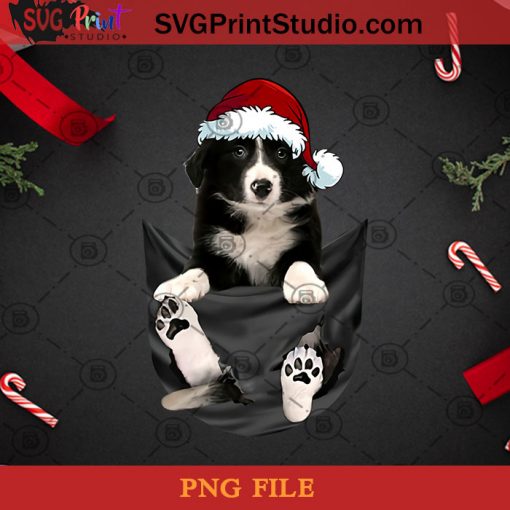 Border Collie In Inside Pocket Cute Christmas Dog PNG, Christmas PNG, Noel PNG, DogPNG, Border Collie PNG, Santa Hat PNG Digital Download