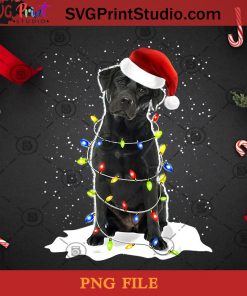 Christmas Black Labrador Dog Lover PNG, Christmas PNG, Noel PNG, Merry Christmas PNG, Black Labrador PNG, Dog PNG, Snowflake PNG, Lights PNG, Santa Hat PNG Digital Download