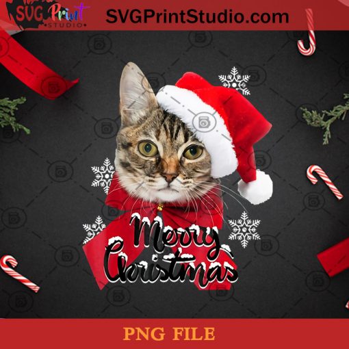 Christmas Cat PNG, Noel PNG, Merry Christmas PNG, Christmas PNG, Cat PNG, Snow PNG, Santa Hat PNG, Cute PNG Digital Download