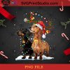 Christmas Light Dachshund Santa Hat PNG, Noel PNG, Merry Christmas PNG, Christmas PNG, Dachshund PNG, Dog PNG, Santa Hat PNG, Reindeer PNG, Light PNG Digital Download