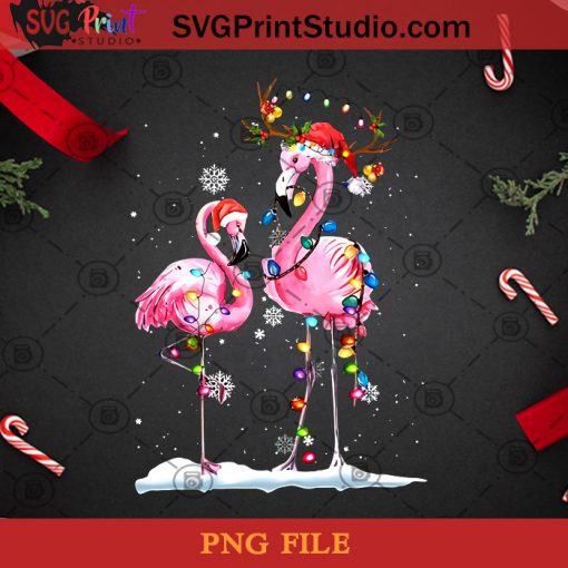 Christmas Light Flamingo Santa Hat PNG, Noel PNG, Merry Christmas PNG, Christmas PNG, Flamingo PNG, Bird PNG, Santa Hat PNG, Reindeer PNG, Light PNG Digital Download