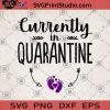 Currently in Quarantine SVG, Pregnancy Announcement SVG, Funny SVG, Pregnancy Reveal SVG, New Mom Gift SVG, Baby Shower Gift SVG
