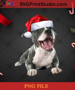 Cute Pit Bull Santa Hat PNG, Noel PNG, Merry Christmas PNG, Christmas PNG, Pit Bull PNG, Dog PNG, Santa Hat PNG, Cute PNG Digital Download