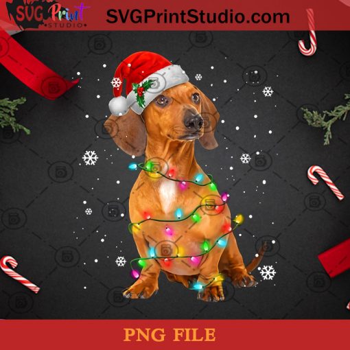 Dachshund Christmas PNG, Noel PNG, Merry Christmas PNG, Christmas PNG, Dachshund PNG, Dog PNG, Santa Hat PNG, Light PNG Digital Download