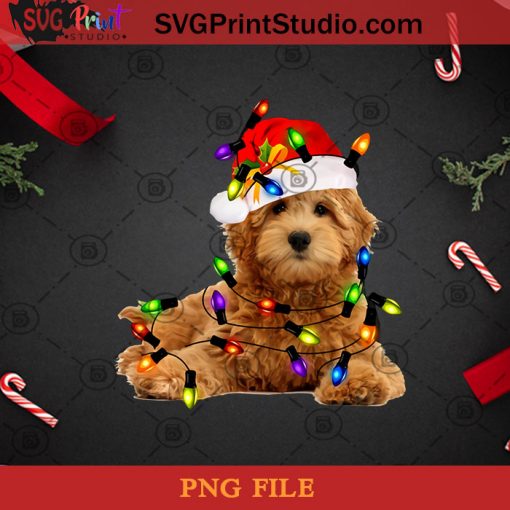 Goldendoodle Christmas Santa PNG, Noel PNG, Merry Christmas PNG, Christmas PNG, Goldendoodle PNG, Dog PNG, Light PNG, Santa Hat PNG Digital Download