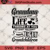 Grandma No Matter What Life Throws At You At Least You Don't Have Ugly Grandchildren SVG, Grandma Gift SVG, Ugly Children SVG, Funny SVG, Humor SVG