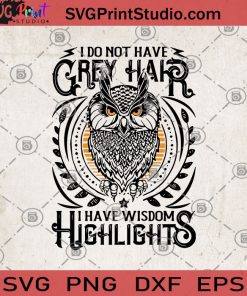 I Do Not Have Grey Hair I Have Wisdom Highlights SVG, Wisdom SVG, Funny SVG, Smart People SVG, Owl SVG, Gift SVG