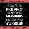 I May Not Be Perfect But My Grandkids Came Out Pretty Awesome SVG, Funny SVG, Perfect SVG, Funny Saying SVG