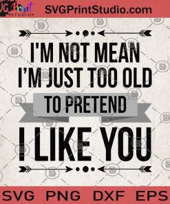 I'm Not Mean I'm Just Too Old To Pretend I Like You SVG, To Pretend SVG, Funny SVG, Humor SVG, I Like You SVG