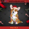 Pembroke Welsh Corgi PNG, Noel PNG, Merry Christmas PNG, Christmas PNG, Pembroke Welsh Corgi PNG, Dog PNG, Santa hat PNG, Light PNG Digital Download