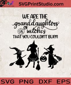 We Are The Granddaughter Of The Witches That You Couldn't Burn SVG, Halloween SVG, Witch SVG, Cricut Digital Download, Instant Download