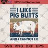 I Like Pig Butts And I Cannot Lie SVG, Pig SVG, Funny pig image SVG