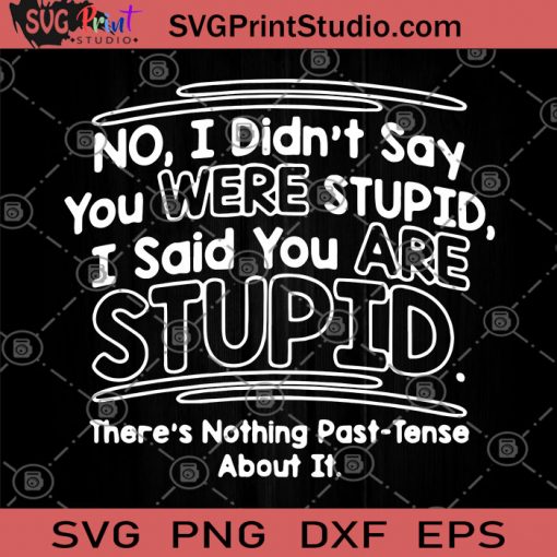 No I Didn't Say You Were Stupid I Said You Are Stupid There's Nothing Past-Tense About It SVG, About The Stupidity SVG, Funny Saying SVG