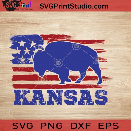 USA Animal Bison Kansas SVG, 4th of July SVG, America SVG EPS DXF PNG Cricut File Instant Download