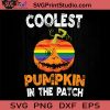 Coolest Pumpkin In Patch Halloween SVG, Pumpkin SVG, Happy Halloween SVG EPS DXF PNG Cricut File Instant Download