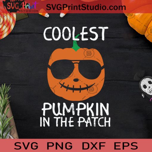 Coolest Pumpkin In The Patch Halloween SVG, The Pumpkin Patch SVG, Coolest Pumpkin SVG