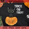 Trick Or Treat Black Cat Pumpkin SVG, Black Cat Pumpkin SVG, Halloween Pumpkin SVG