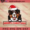 Animal Dog Bernese Mountain Dog Merry Christmas SVG, Merry X'mas SVG, Christmas Gift SVG PNG EPS DXF Silhouette Cut Files