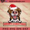 Animal Dog Border Collie Merry Christmas SVG, Merry X'mas SVG, Christmas Gift SVG PNG EPS DXF Silhouette Cut Files