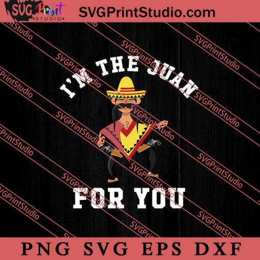 I'm The Juan For You SVG, Cinco de Mayo SVG, Mexico SVG, Fiesta Party SVG EPS DXF PNG Cricut File Instant Download