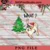 What Cat Christmas PNG, Merry Christmas PNG, Funny Cat PNG Digital Download