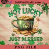 Not Lucky Just Blessed PNG, St.Patrick's day PNG, Gnome PNG Digital Download